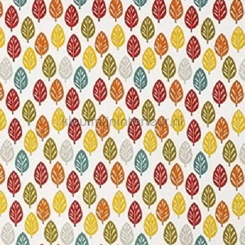 spruce carnival tendaggio 5076-236 Pick N Mix Prestigious Textiles