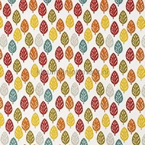 spruce carnival cortinas 5076-236 campo Prestigious Textiles