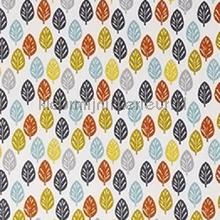 spruce citron rideau Prestigious Textiles Pick N Mix 5076-524