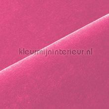 Velours roze cortinas Kobe Voile 
