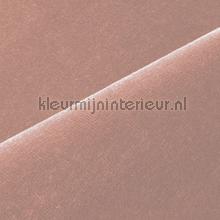 Velours taupe rose cortinas Kobe Voile 