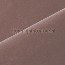 Velours taupe cortinas Kobe Voile 