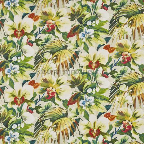 Moorea Oasis curtains 8648-162 flowers Prestigious Textiles