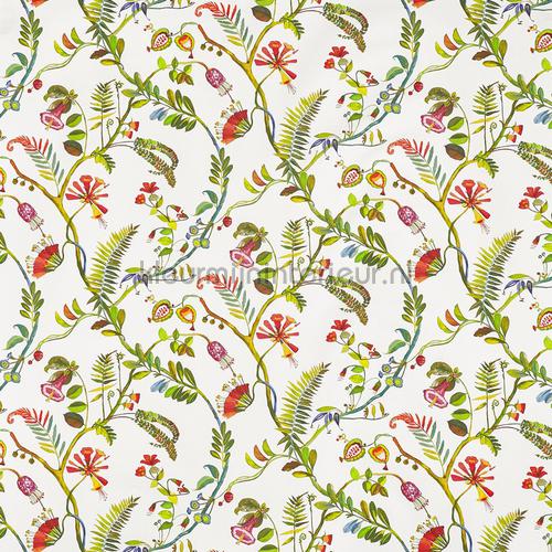 Tropicana Oasis cortinas 8652-162 romntico Prestigious Textiles