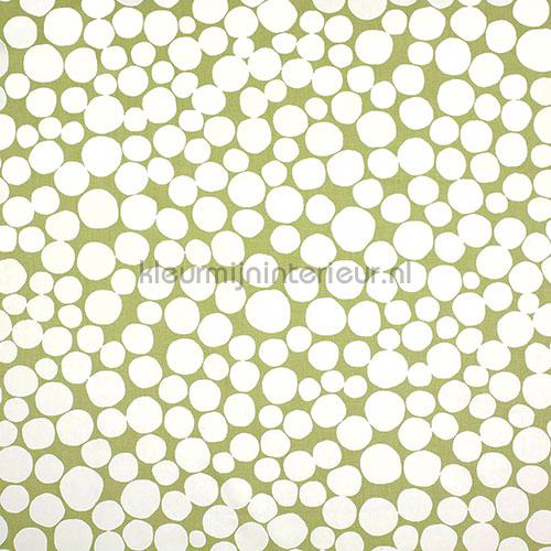 Fizzle Eucalyptus gordijnen 5763-394 tieners Prestigious Textiles