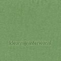 Starshine Groen vorhang 434-039 vorhang top15 Inspiration