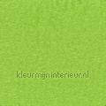 Starshine Neon Groen vorhang 4340-22 vorhang top15 Inspiration