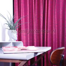 Velours lichtpaars cortinas Kobe nuevas colecciones 