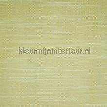 Tennessee Citronelle cortinas Dekortex Voile 