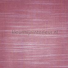 Tennessee Wild aster cortinas Dekortex Voile 