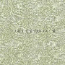Endless willow vorhang Prestigious Textiles Timeless 3684-629