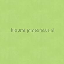 Topcolor lime groene voile stoffer topcolor-33 A House of Happiness
