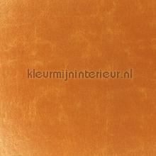 Urban mango vorhang Dekortex Urban urban-107