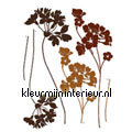 Ladys smoke wallstickers Komar vindue stickers 