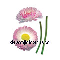 Daisy interieurstickers Komar Deko-sticker 17023