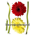 Gerbera stickers mureaux 17011 Deko-sticker Komar