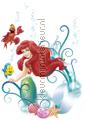 Arielle wallstickers Komar vindue stickers 
