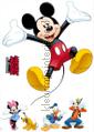 Mickey and Friends wallstickers Komar vindue stickers 