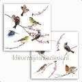 Birds raamstickers adesivi murali Komar Deko-sticker 16003