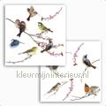 Birds raamstickers interieurstickers Komar bloemen natuur 