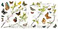 Cheerful raamstickers wallstickers Komar vindue stickers 