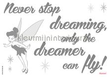 Disney never stop dreaming decoration stickers Komar teenager 