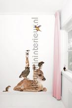 stickers mureaux animal