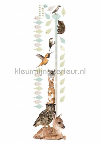 growth chart 1 decoration stickers ms-047 Room set photo's Kek Amsterdam