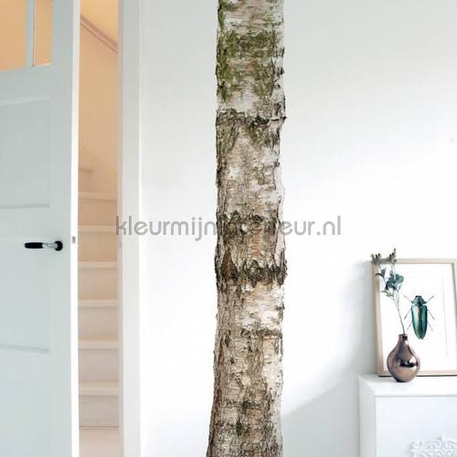 home tree 4 interieurstickers ms-059 bloemen natuur Kek Amsterdam