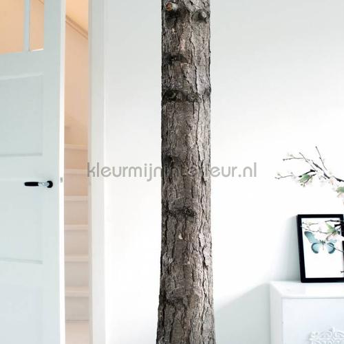 home tree 6 vinilo decorativo ms-061 flores y naturaleza Kek Amsterdam