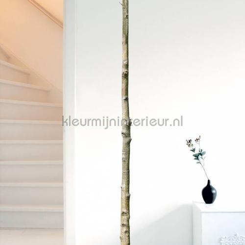 home tree 5 interieurstickers ms-255 Baby - Peuter Kek Amsterdam