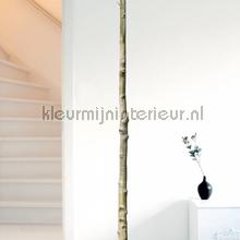 home tree 5 wallstickers ms-255 Room set photo's Kek Amsterdam