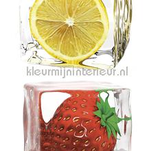 Ijsklontjes met fruit XL sticker interieurstickers AS Creation abstract modern 
