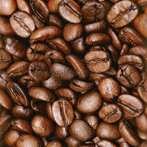 Koffiebonen  XL sticker adesivi murali 300731 cucina AS Creation