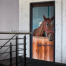 Horse in stable adesivi murali 020021 door stickers AS Creation