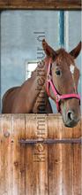 Horse in stable autocolantes decoracao AS Creation Bebs Crianas 