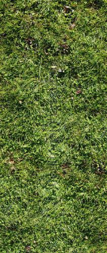 Gras sticker decorative selbstkleber 020027 TUR 2.0 AS Creation