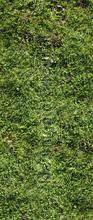 Gras sticker decorative selbstkleber AS Creation unterwasserwelt 