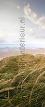 Duinen wandsticker adesivi murali AS Creation sport 