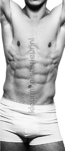 man met sixpack wallstickers 473740 door stickers AS Creation