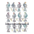 Duiven wallstickers Komar vindue stickers 