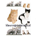 Katten wallstickers Komar vindue stickers 