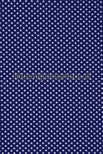 Sterretjes gordijnen | kleurmijninterieur.nl Sterretjes gordijnen | kleurmijninterieur.nl