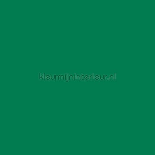 uni raamfolie transparant groen plakfolie 200-1965 uni gekleurd DC-Fix