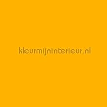 Uni raamfolie transparant geel klebefolie DC-Fix statisch 