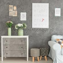 Concrete plekfollie DC-Fix _intrieur 