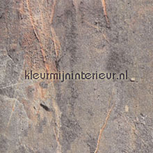 Leisteen lamina adhesiva Gekkofix premium Piedra Cemento 