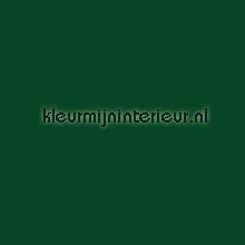 Ral 6005 Dark green pelicula autoadesiva Macal Todas-as-imagens