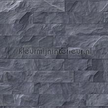 Stone grey feuille autocollante Patifix tout images 