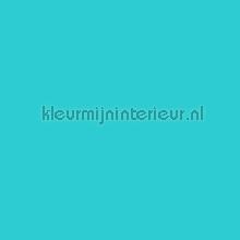 Turquoise blauw plekfollie Patifix Patifix collectie 10-1265